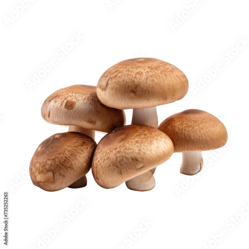 Mushrooms on transparent background