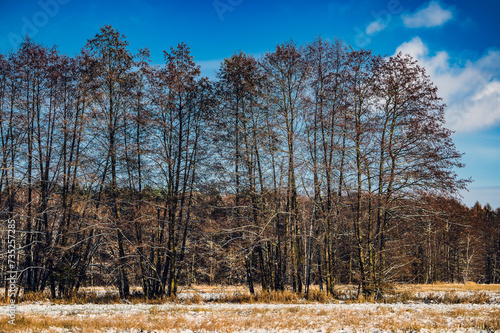 Fototapeta Naklejka Na Ścianę i Meble -  Zima