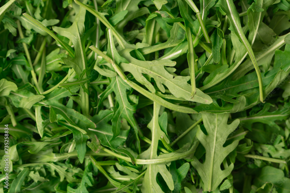Fresh leaves of arugula as a background. Fresh leaves of arugula as a background.