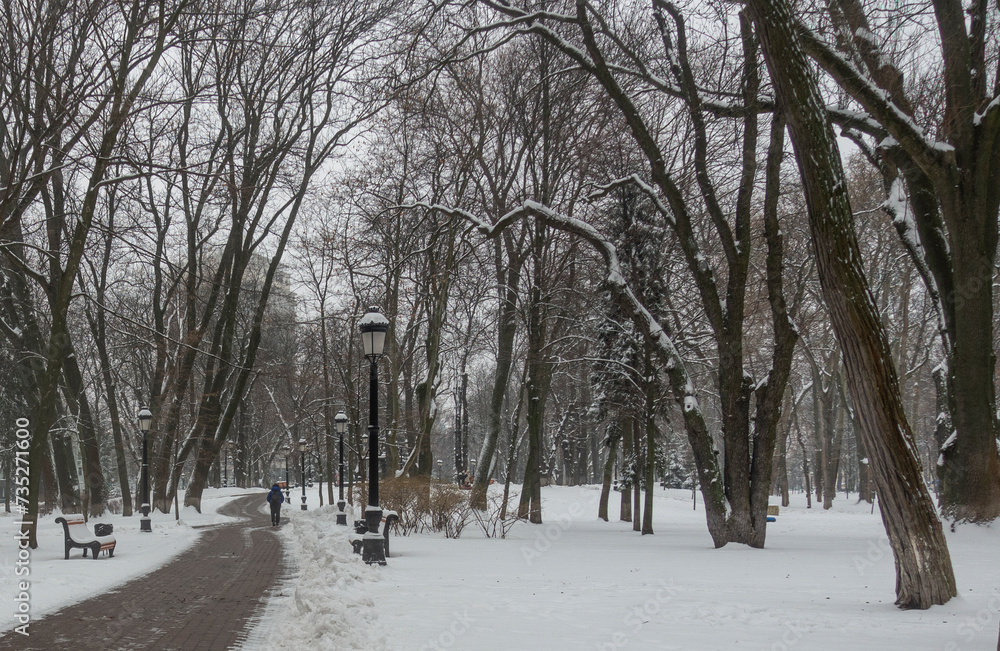 Alley of the Mariinsky Park in Kyiv, leading along snow-covered trees Alley of the Mariinsky Park in Kyiv, leading along snow-covered trees
