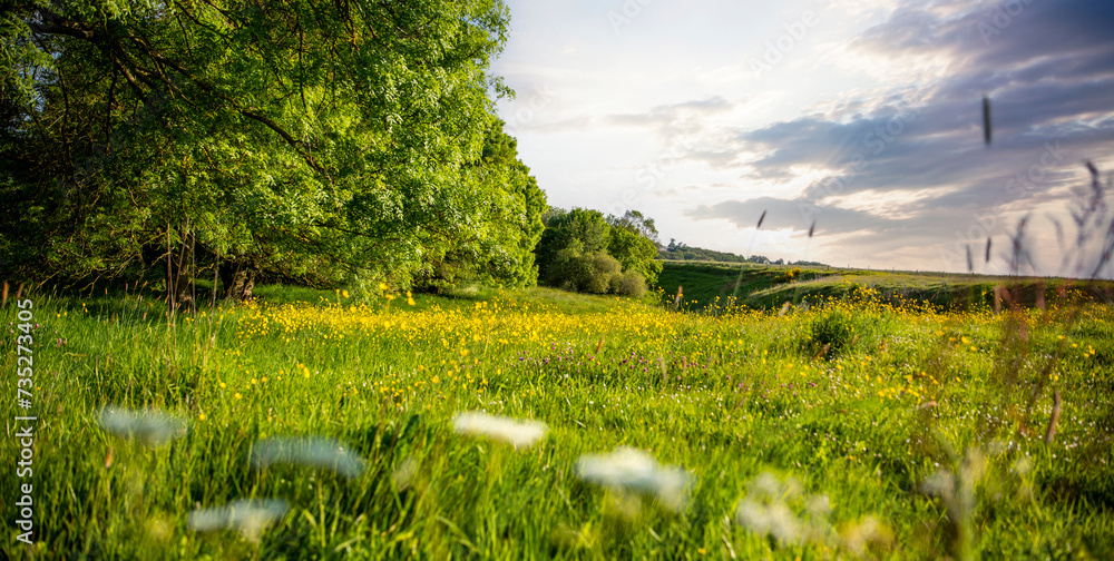 Obraz premium Paysage de campagne au milieu des champs verts et des arbres au printemps.