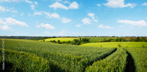 Paysage de campagne en France, vue sur les champs et les chemins à travers les prairies au printemps. photo