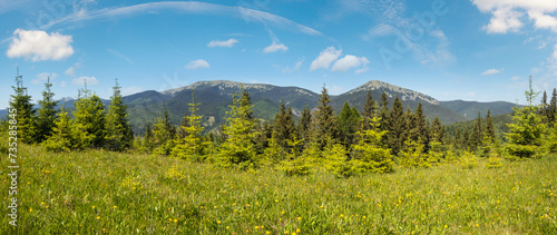 Summer Gorgany massiv mountains scenery view from Sevenei hill (near Yablunytsia pass, Carpathians, Ukraine.) photo