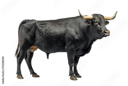 Mighty Bull on Transparent Background, PNG