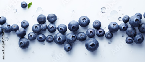 Blueberries on a White Background