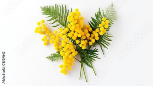 Spring volumetric composition of a bouquet of yellow mimosa flowers, top view with copy space on a white background