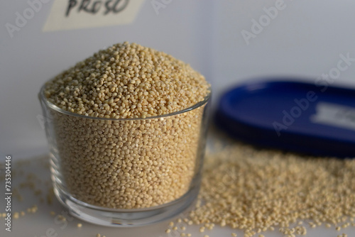 Proso millet, tiny round seeds with a golden hue kept in a container and glass bowl filled to the brim. photo