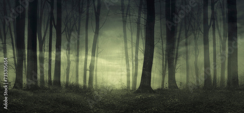 dark forest panorama, horror night scene