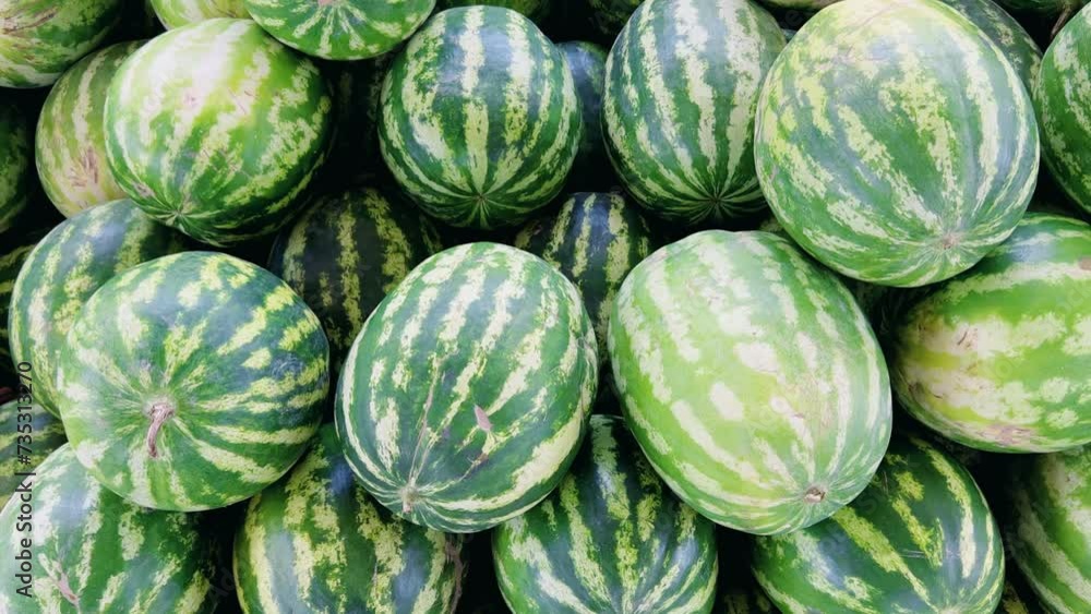 Watermelons on the fruit and vegetable market. Uzbekistan - June 29, 2023: Goods and traders at the Oriental Bazaar. Siab Bazaar is the largest and oldest bazaar in Samarkand. 4K Watermelons on the fruit and vegetable market. Uzbekistan - June 29, 2023: Goods and traders at the Oriental Bazaar. Siab Bazaar is the largest and oldest bazaar in Samarkand. 4K