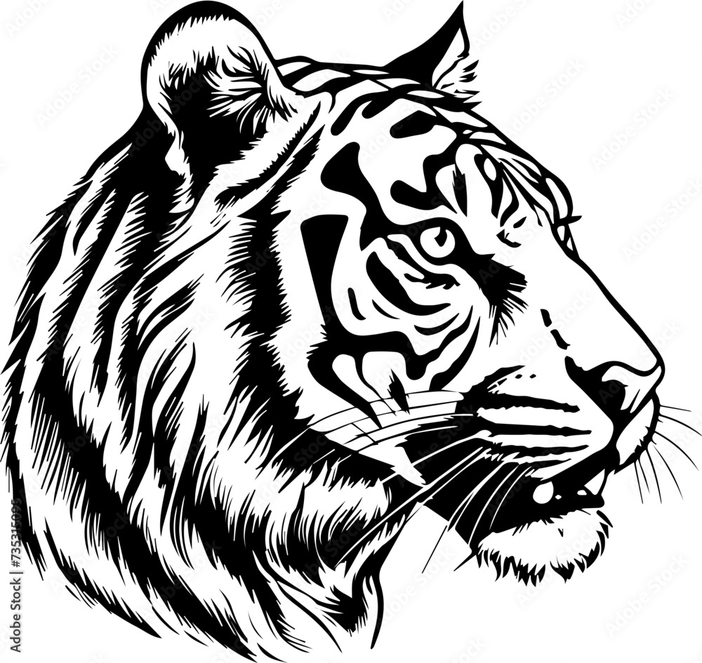 tiger head vector design, isolated background, hand drawn illustration style tiger head vector design, isolated background, hand drawn illustration style