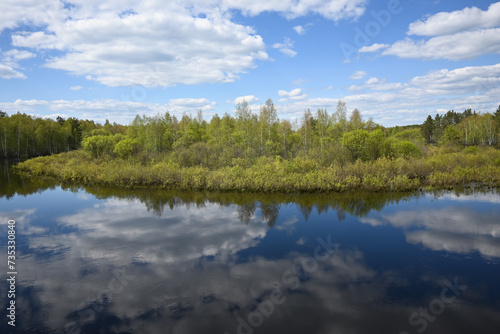 Forest river in May.