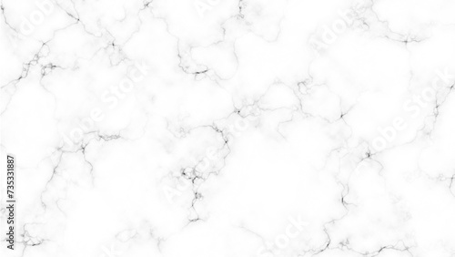 White luxury marble texture background. White marble stone texture with black cracks pattern