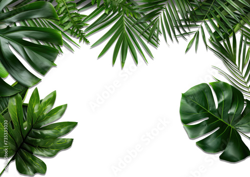 Set of Tropical leaves isolated on transparent background. Beautiful tropical exotic foliage