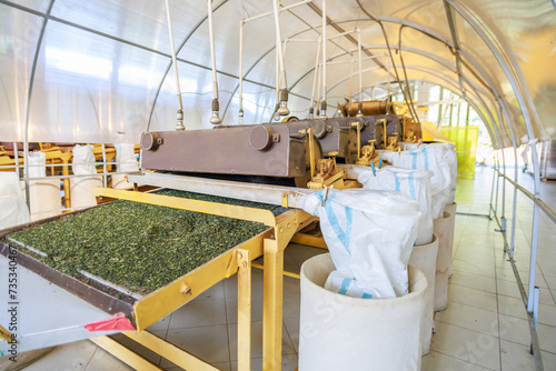 Canvas Print Workshop with special equipment for rolling and drying tea leaves