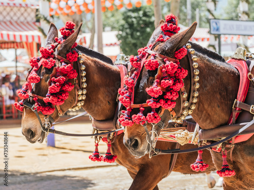 Elegant Horses Adorned for Seville April Fair Celebration