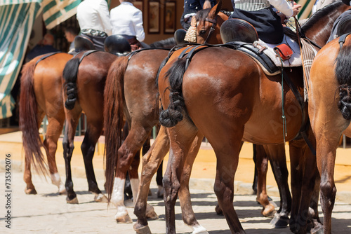 Elegant horses and riders at the vibrant Seville Fair © javidestock