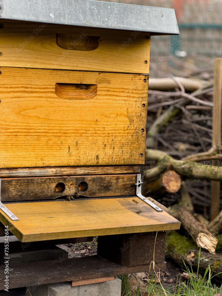Ein gelber Bienenstock aus Holz steht im Freien. Im Hintergrund ist eine Bentjeshecke aus Holz sichtbar