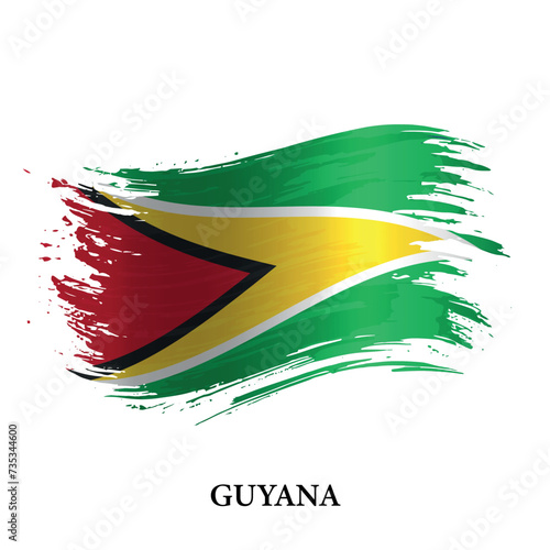 Grunge flag of Guyana, brush stroke vector