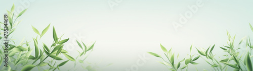 Green Bamboo Leaves Sprouting Serenely on a Soft Gradient Background with Ample Copy Space