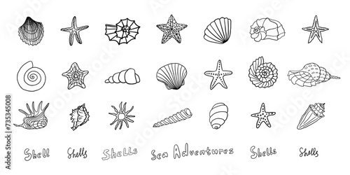 Big set of different types of seashells in doodle style. marine shell, starfish, snail, scallop. Travel design. Beach. Hand drawn