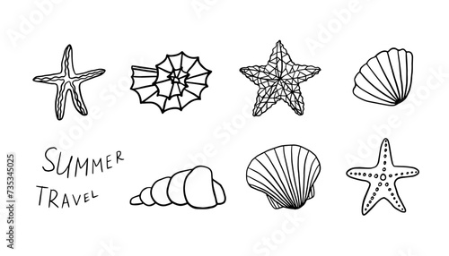 Set of different types of seashells in doodle style. marine shell, starfish, snail, scallop. Travel design. Beach. Hand drawn. Summer time.