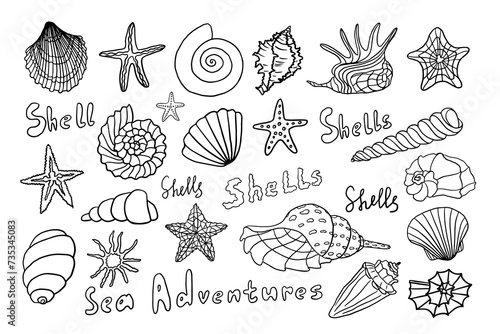 Set of different types of seashells. Marine shell, starfish, snail, scallop. Travel design. Beach. Hand drawn. Doodle style. Vector illustration for cards, posters, stickers and professional design