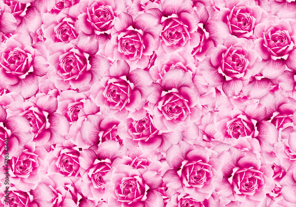 Many roses flower seamless pattern Many roses flower seamless pattern