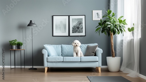 Poodle s Modern Living Room Retreat