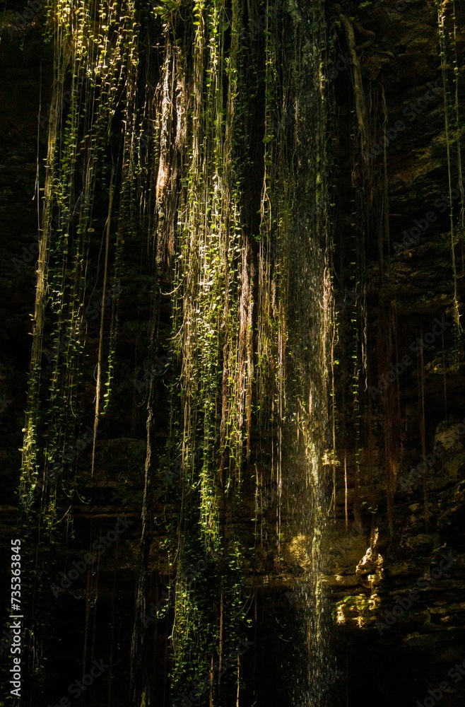 Naklejka premium Hermoso cenote en Yucatán México