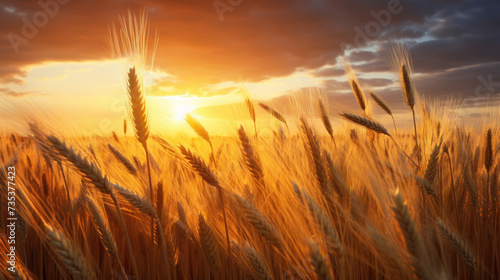 wheat field in golden sunlight, in the style of light orange and azure, nature morte, photo-realistic landscapes