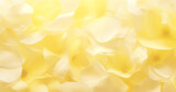 Lindas pétalas de flores de hortênsia amarela em fundo branco