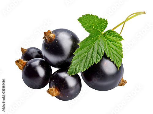 Berries black currant with green leaf. Fresh fruit, isolated. PNG. © Yasonya