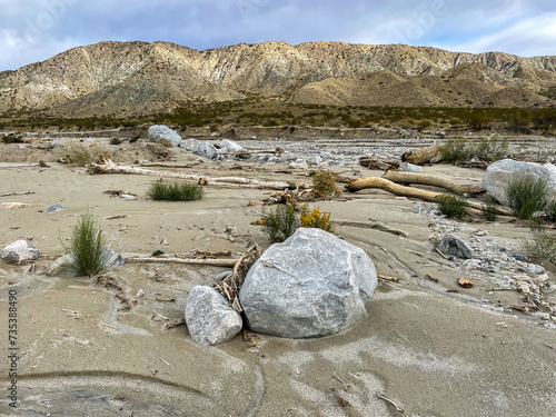 Fotografija A Stream Bed showing the deposition of plants and trees and the weathering of ro