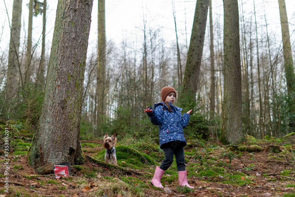 Little girl with a Yorkshire Terrier in the forest on a walk Little girl with a Yorkshire Terrier in the forest on a walk