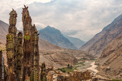 Rural landscape  photo