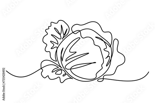 Cabbage in continuous line art drawing style. Black linear sketch isolated on white background. Vector illustration