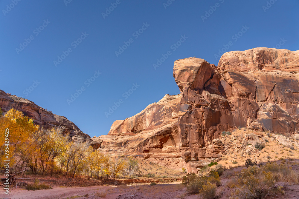 Fototapeta premium Horseshoe Canyon