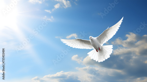 Sublime Solitude: The Serene Moment of a Resilient Dove Soaring in the Expanse of a Clear Blue Sky