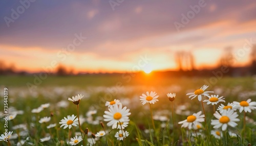 Daisies in the foreground on a spring meadow, blurred sky at sunset. Copy space created with generative ai