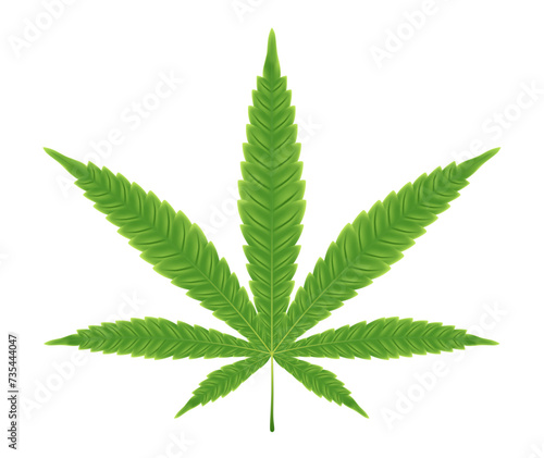 Canabis leaf vector illustration icon. Marijuana leaf isolated on white background.