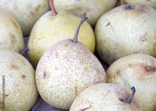 Close up on many Shin Li Asian Pears on display at Farmer's Market.