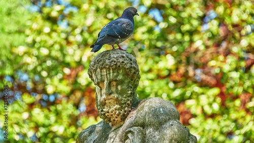 Sculpture of a man and a dove. Valmarana Salvi gardens are public garden located in historic center of Vicenza, Italy, adjacent to walls of Piazza Castello, in Piazzale De Gasperi. photo