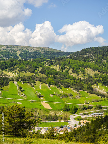 Meadow scenery in the Southern Alps