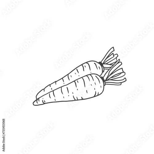 carrot in doodle style. icon. sketch of vegetable. Vector illustration for menu, farmers markets, print.