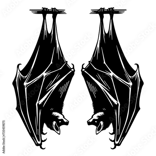 Two Bats Hanging Upsidedown. Let's Hang.