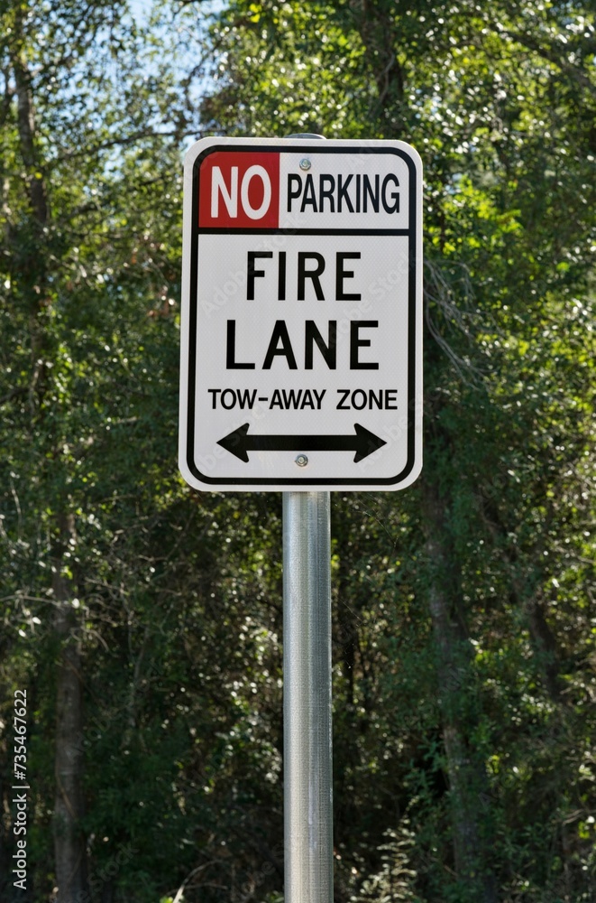 Fire Lane and no parking sign closeup isolated with a backdrop of tree canopy.