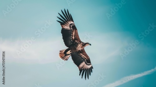 Majestic Eagle Soaring Above in the Clear Blue Sky AI Generated.