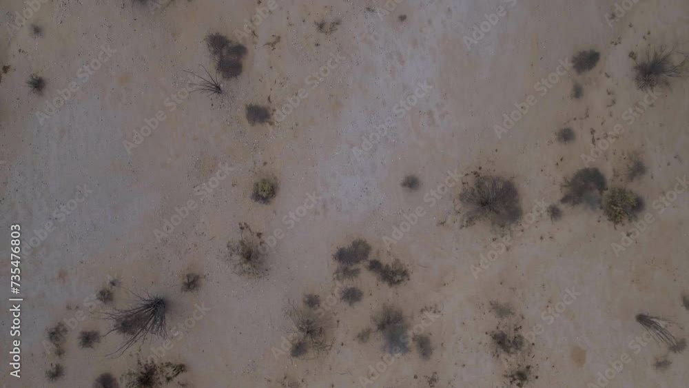 Aerial: Drone Top Forward Shot Of Plants On Semi Arid Desert Landscape - San Felipe, Mexico Aerial: Drone Top Forward Shot Of Plants On Semi Arid Desert Landscape - San Felipe, Mexico