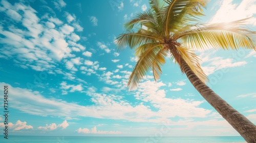 Palm tree on tropical beach with blue sky and white clouds abstract background  copy space of summer vacation and business travel concept.