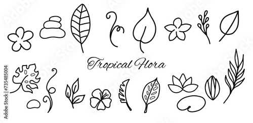 Simple hand drawn tropical floral vector design elements in doodle style. Set of leaves, flowers, branches and stones. For pattern, logo or decoration.